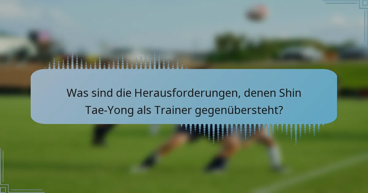 Was sind die Herausforderungen, denen Shin Tae-Yong als Trainer gegenübersteht?