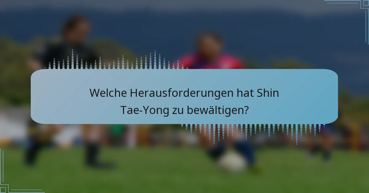 Welche Herausforderungen hat Shin Tae-Yong zu bewältigen?