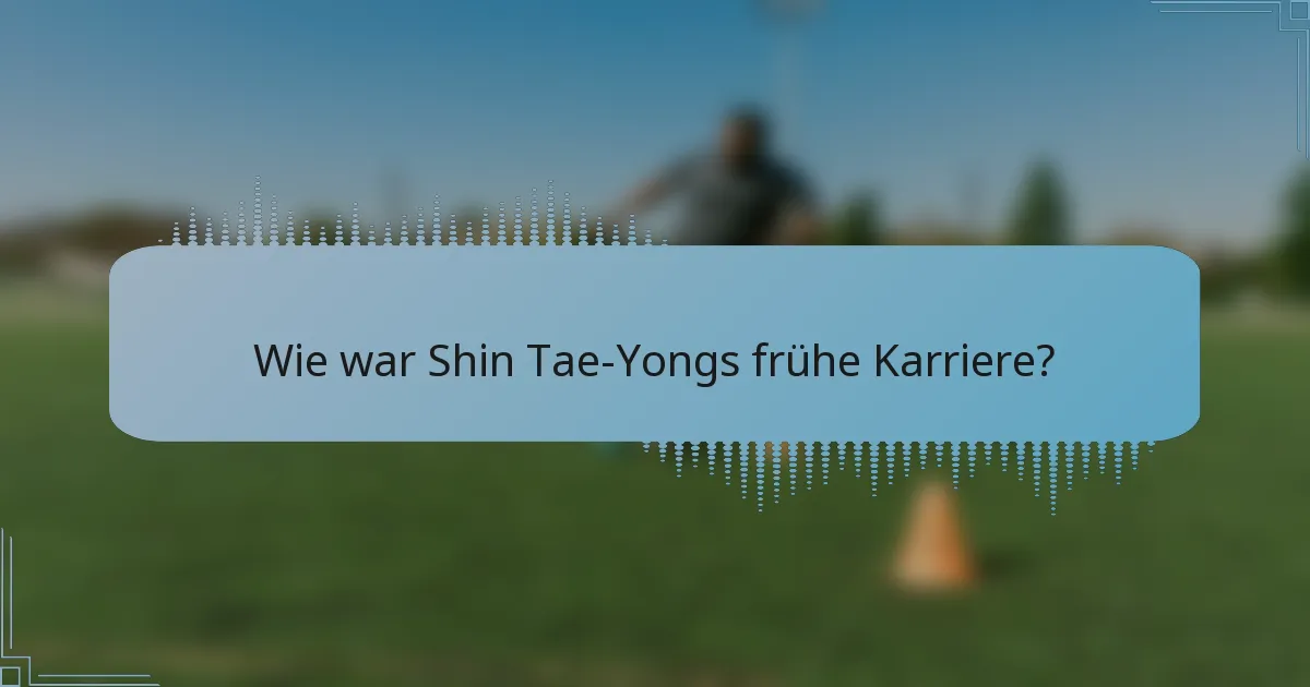 Wie war Shin Tae-Yongs frühe Karriere?